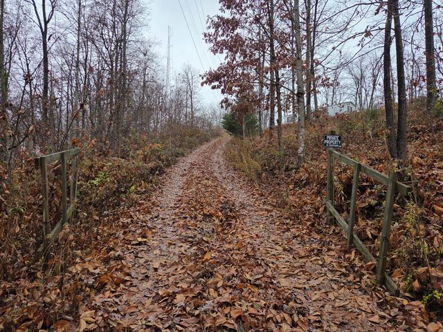 63 Cove Branch Road, Orlando, KY 40460