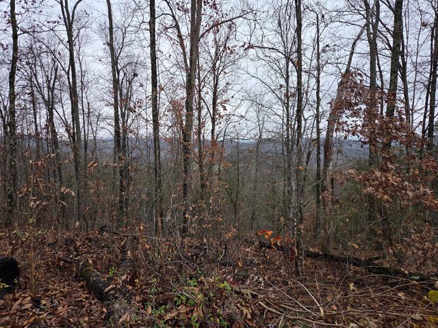 63 Cove Branch Road, Orlando, KY 40460