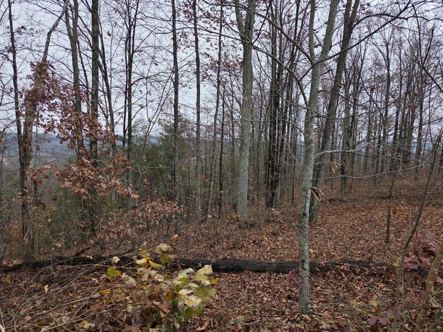 63 Cove Branch Road, Orlando, KY 40460