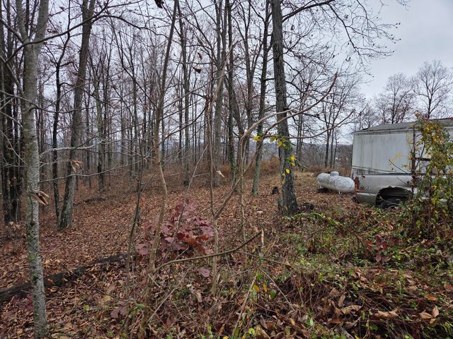 63 Cove Branch Road, Orlando, KY 40460