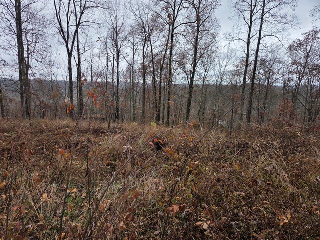 63 Cove Branch Road, Orlando, KY 40460