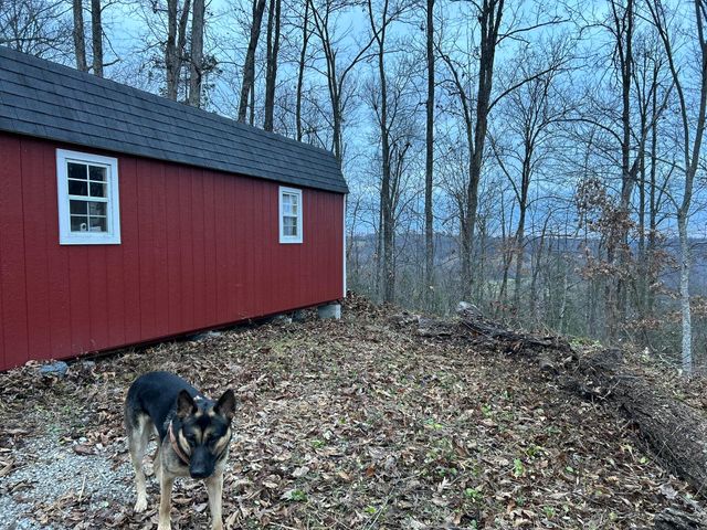 63 Cove Branch Road, Orlando, KY 40460