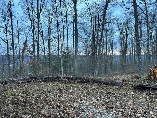 63 Cove Branch Road, Orlando, KY 40460