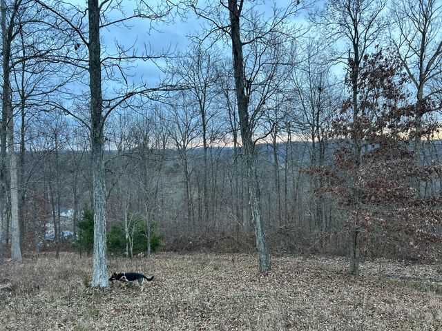 63 Cove Branch Road, Orlando, KY 40460