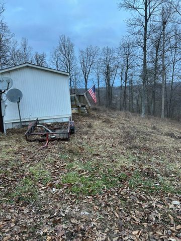 63 Cove Branch Road, Orlando, KY 40460