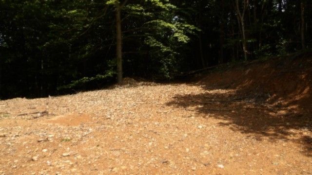 0 Gravely Hill Rd, Bethpage, TN 37022