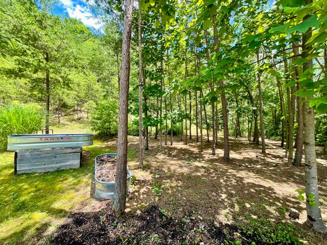 67 Pine Mountain Road, Campton, KY 41301