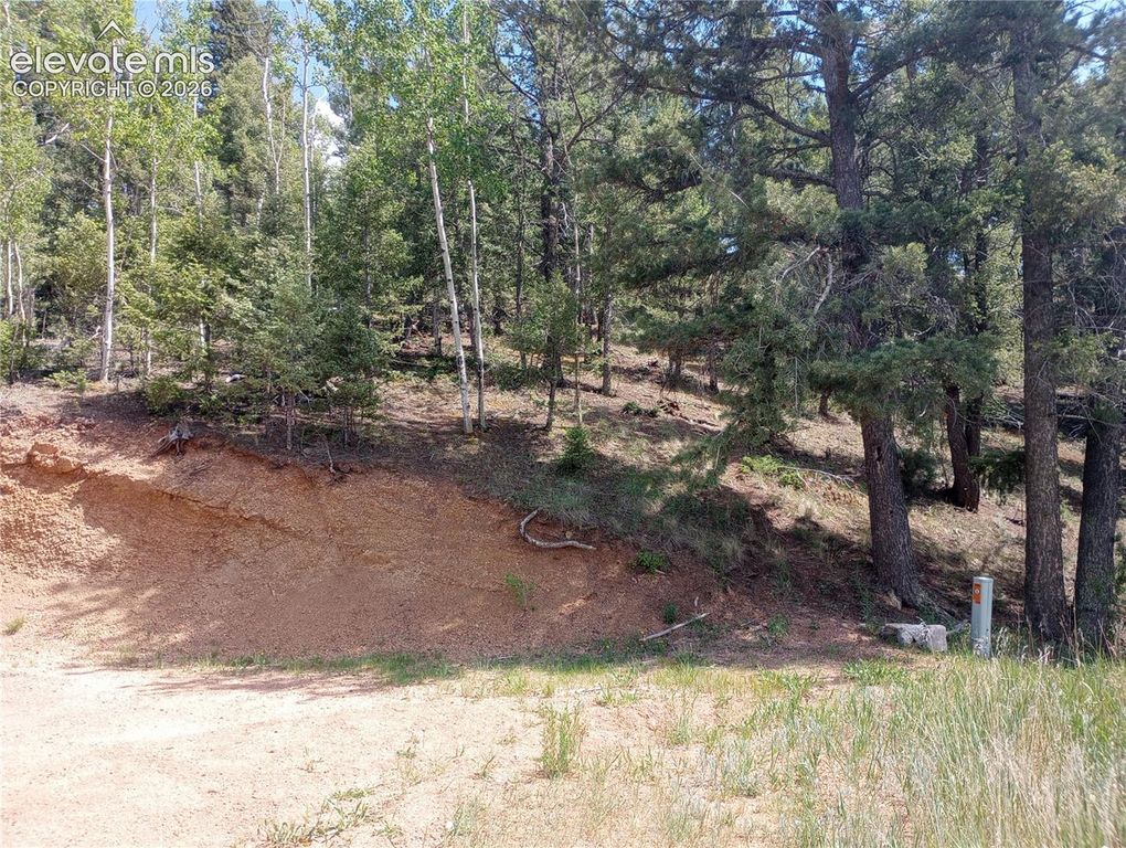 138 Glenwood Lane, Woodland Park, CO 80863 — exterior