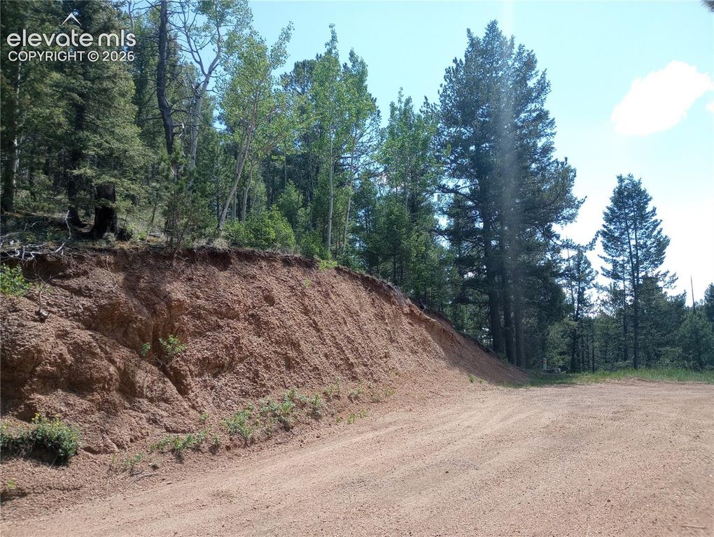 138 Glenwood Lane, Woodland Park, CO 80863 — photo 2