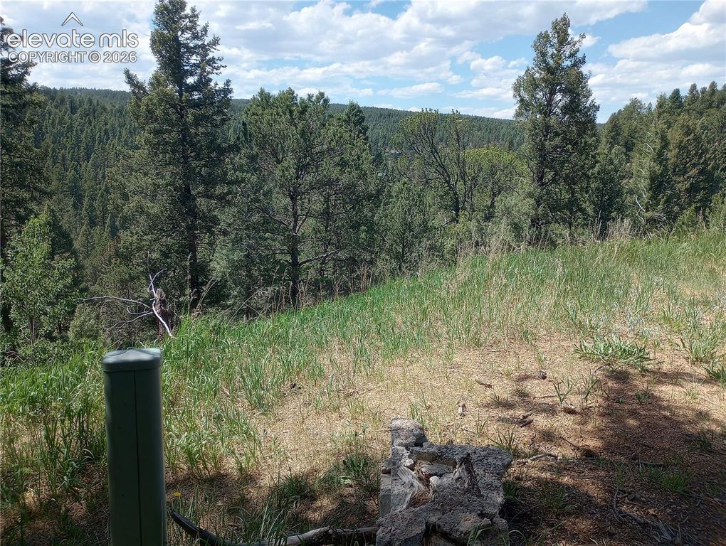 138 Glenwood Lane, Woodland Park, CO 80863 — photo 3