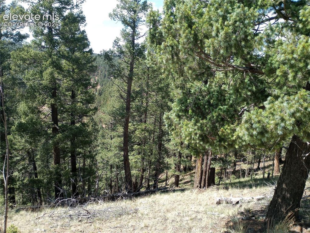 138 Glenwood Lane, Woodland Park, CO 80863 — photo 5