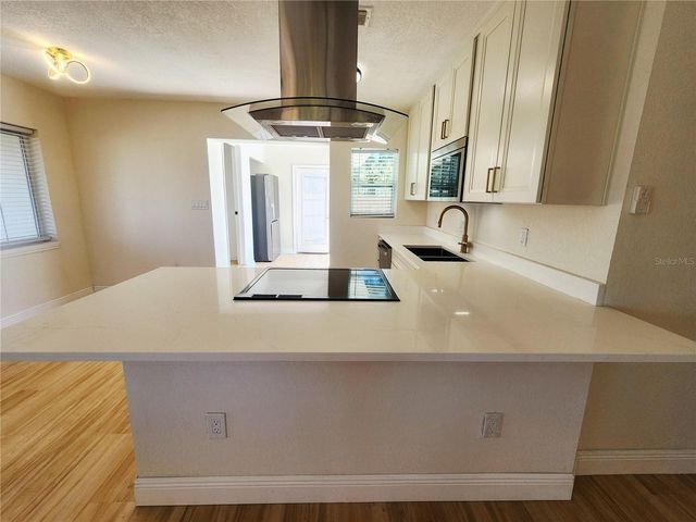 2494 DEL RIO WAY, Dunedin, FL 34698