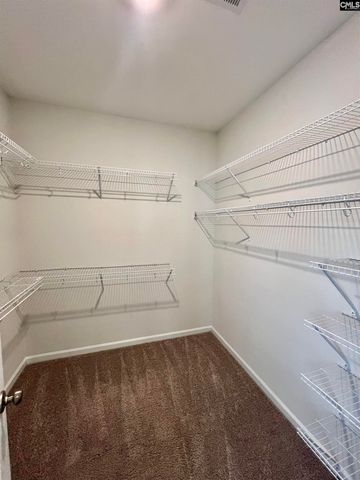 1522 Garrett Court, Chapin, SC 29036