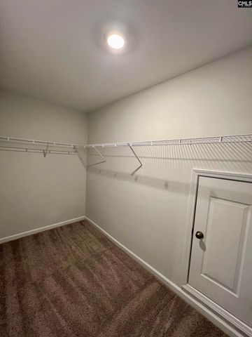 1522 Garrett Court, Chapin, SC 29036