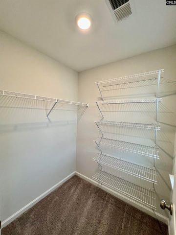 1522 Garrett Court, Chapin, SC 29036