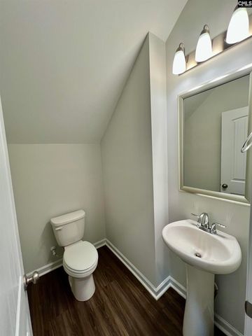 1522 Garrett Court, Chapin, SC 29036