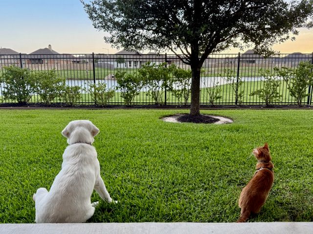 15656 Long Creek Lane, College Station, TX 77845