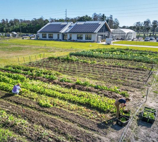 2138 WHITNEY MARSH ALLEY, Orlando, FL 32804