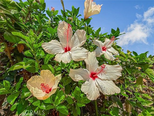 2797 Beckett Court, Thousand Oaks, CA 91360