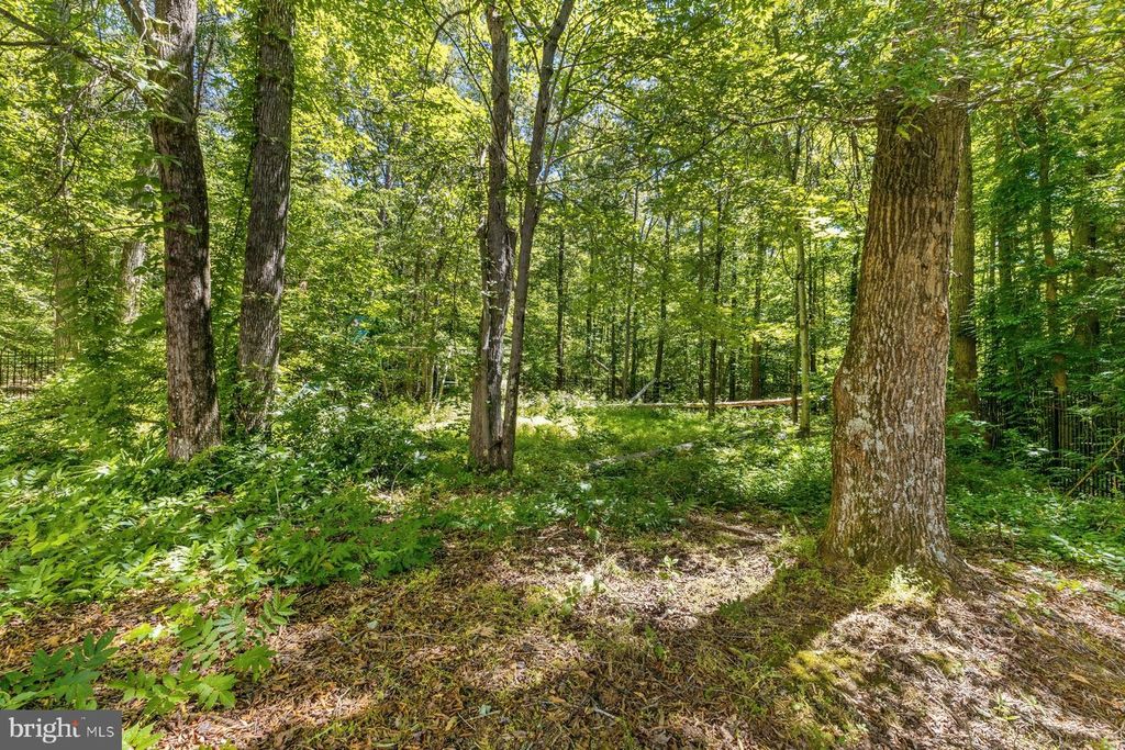 Image 61 of property listing at 17300 WILL CT, Accokeek, MD 20607