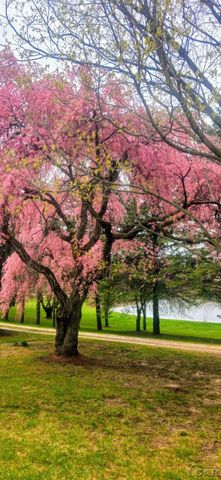 15300 Rome Road, Rollin Twp, MI 49253