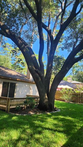 43 Dew Fall Court, The Woodlands, TX 77380