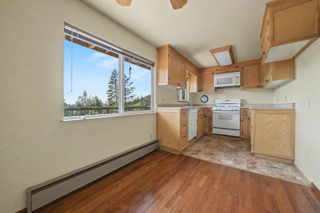 16001 Cedar Heights Dr. N, Pioneer, CA 95666