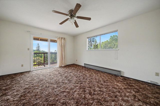 16001 Cedar Heights Dr. N, Pioneer, CA 95666