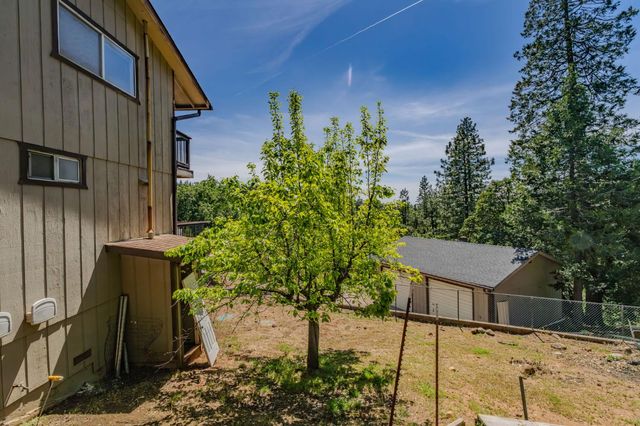 16001 Cedar Heights Dr. N, Pioneer, CA 95666