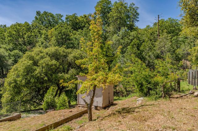 16001 Cedar Heights Dr. N, Pioneer, CA 95666