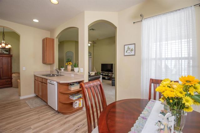 11021 SILVER DANCER DRIVE, Riverview, FL 33579