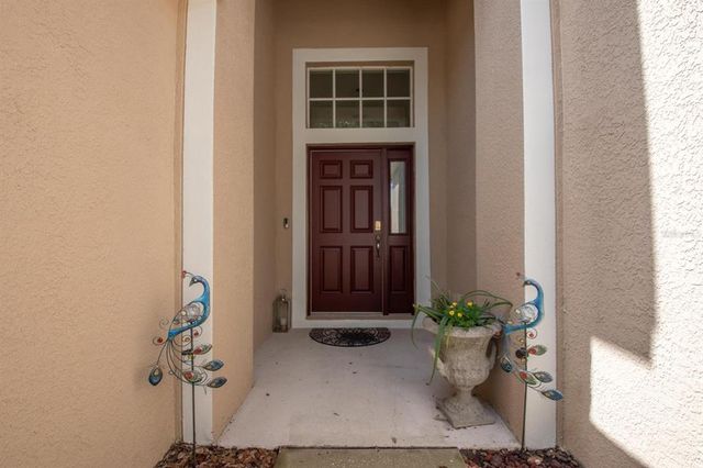 11021 SILVER DANCER DRIVE, Riverview, FL 33579