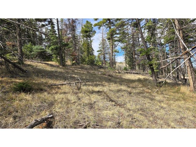 5505 Balleroy Rd, Fort Garland, CO 81133