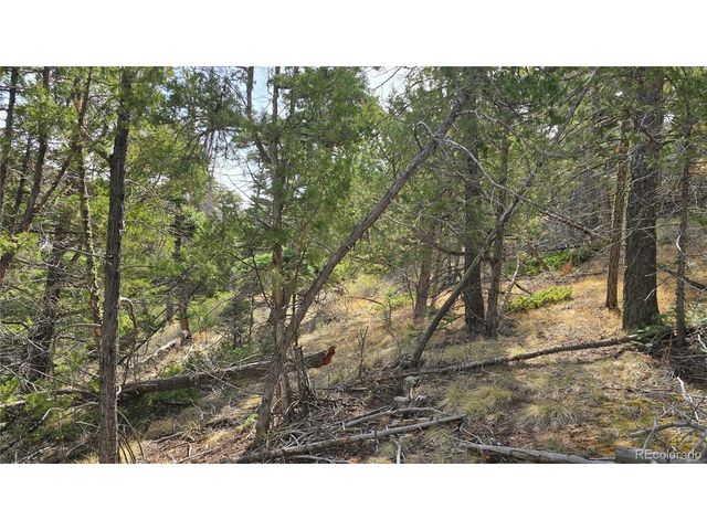 5505 Balleroy Rd, Fort Garland, CO 81133