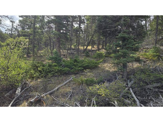 5505 Balleroy Rd, Fort Garland, CO 81133