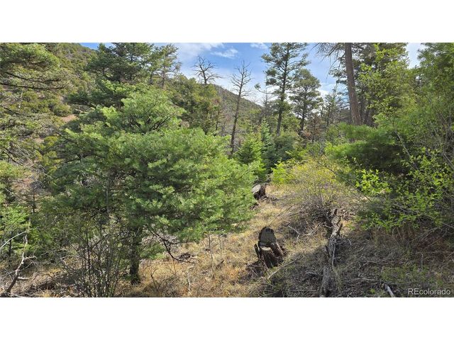5505 Balleroy Rd, Fort Garland, CO 81133