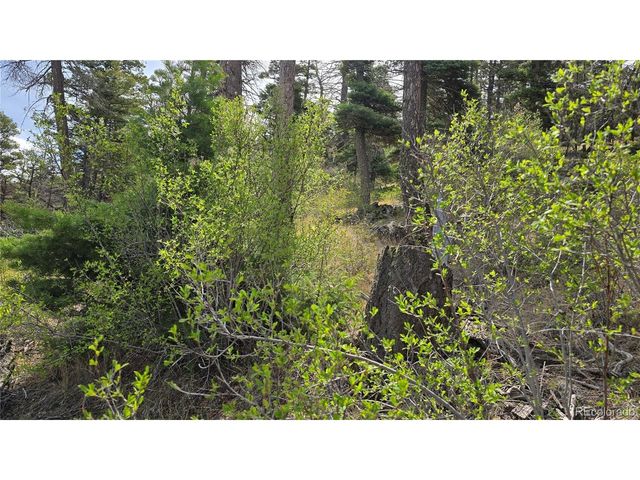 5505 Balleroy Rd, Fort Garland, CO 81133