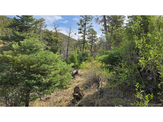 5505 Balleroy Rd, Fort Garland, CO 81133
