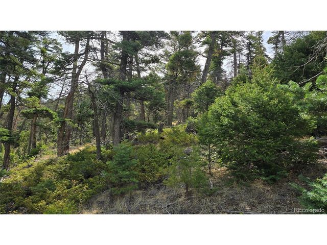 5505 Balleroy Rd, Fort Garland, CO 81133
