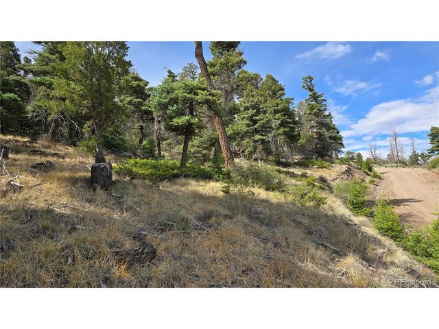 5505 Balleroy Rd, Fort Garland, CO 81133