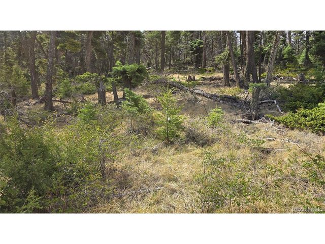 5505 Balleroy Rd, Fort Garland, CO 81133