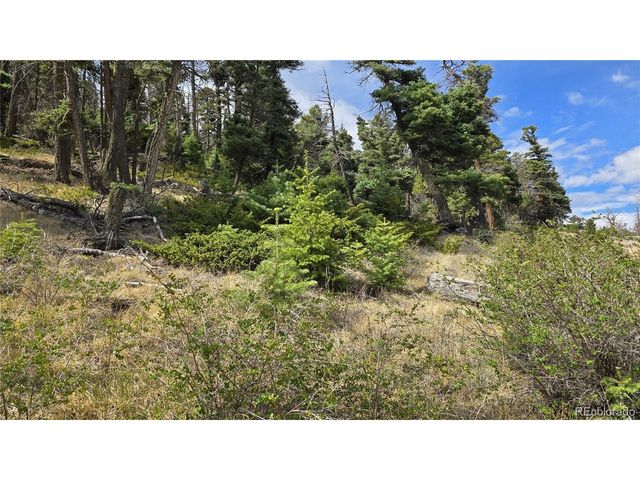 5505 Balleroy Rd, Fort Garland, CO 81133