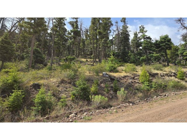 5505 Balleroy Rd, Fort Garland, CO 81133