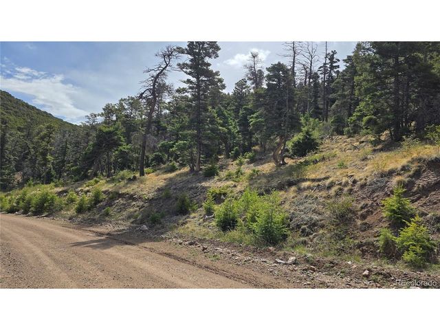 5505 Balleroy Rd, Fort Garland, CO 81133