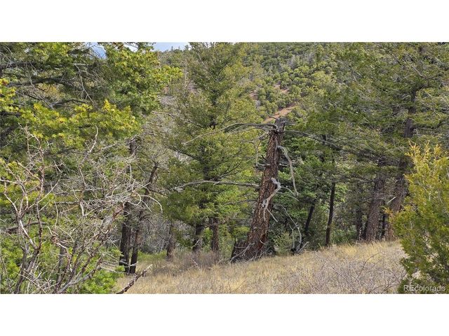 5505 Balleroy Rd, Fort Garland, CO 81133