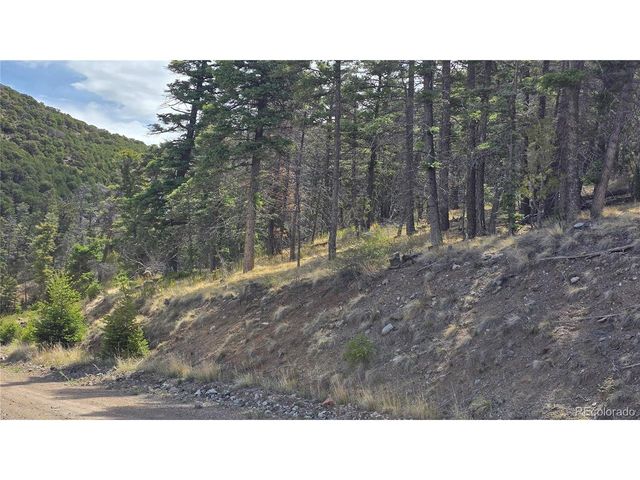 5505 Balleroy Rd, Fort Garland, CO 81133
