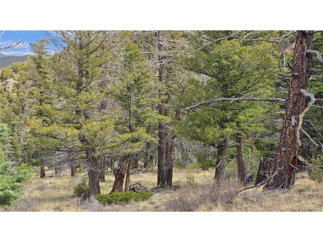 5505 Balleroy Rd, Fort Garland, CO 81133