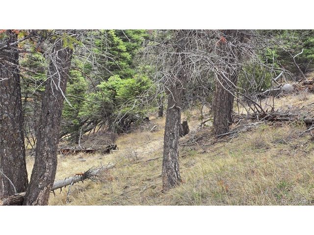 5505 Balleroy Rd, Fort Garland, CO 81133