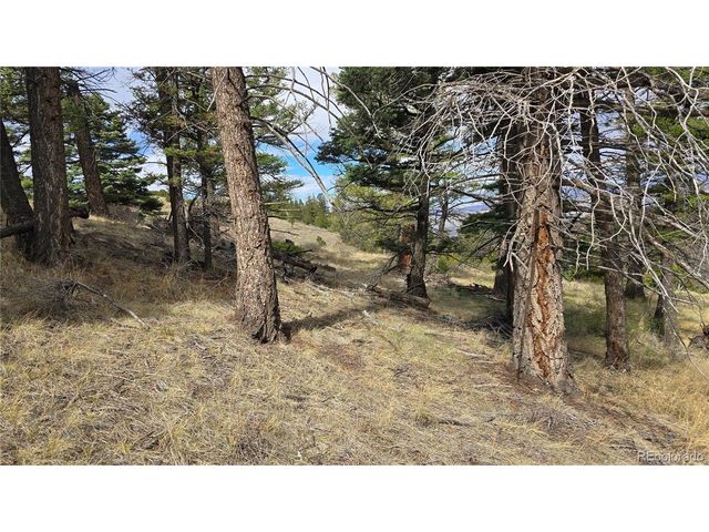 5505 Balleroy Rd, Fort Garland, CO 81133