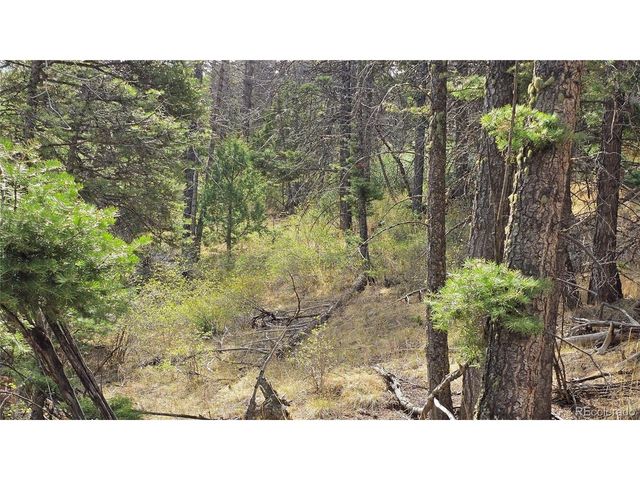 5505 Balleroy Rd, Fort Garland, CO 81133